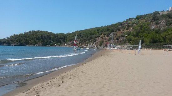 Strand Sarıgerme